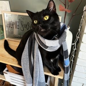 Meet your Posher, Chloe